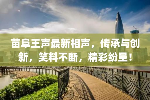 苗阜王声最新相声，传承与创新，笑料不断，精彩纷呈！
