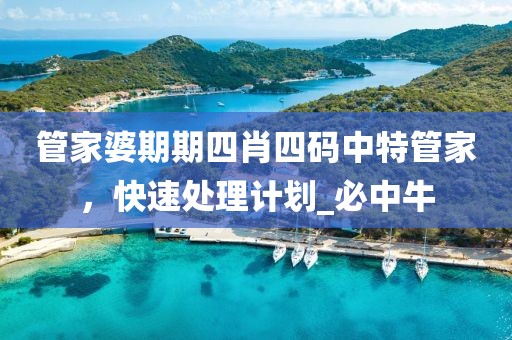 管家婆期期四肖四码中特管家，快速处理计划_必中牛