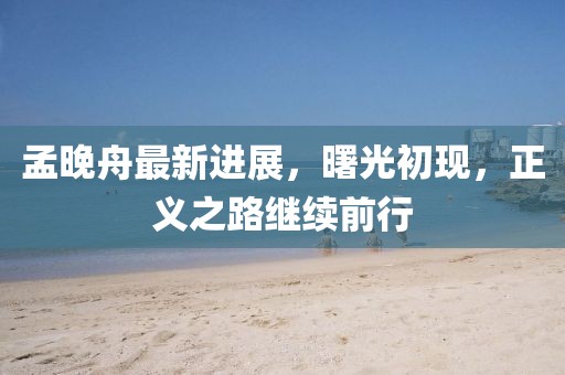孟晚舟最新进展，曙光初现，正义之路继续前行