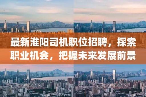 最新淮阳司机职位招聘,探索职业机会,把握未来发展前景