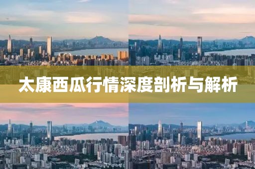 太康西瓜行情深度剖析与解析