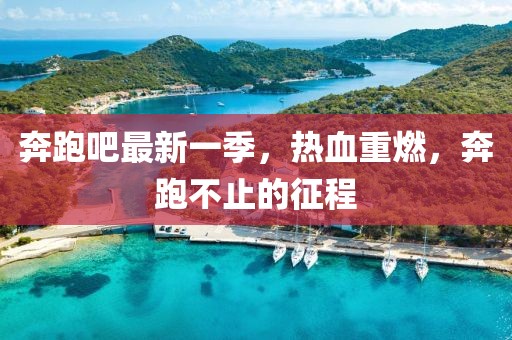 奔跑吧最新一季，热血重燃，奔跑不止的征程