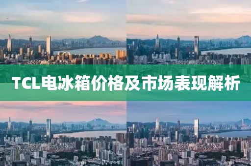 TCL电冰箱价格及市场表现解析