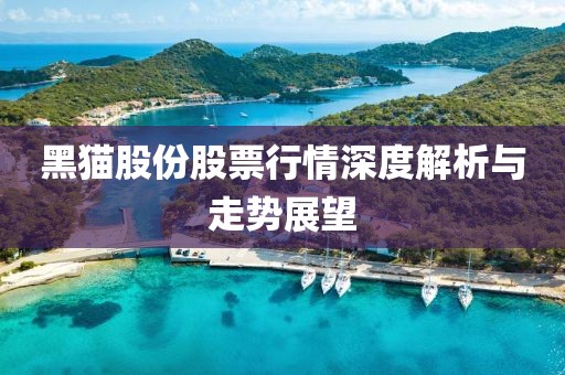 黑猫股份股票行情深度解析与走势展望