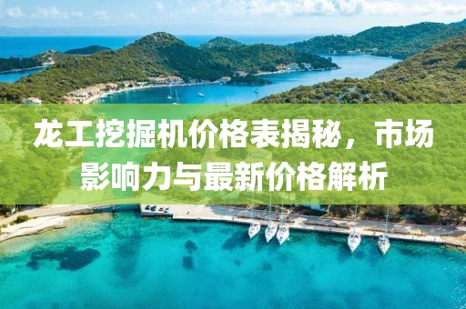 龙工挖掘机价格表揭秘，市场影响力与最新价格解析
