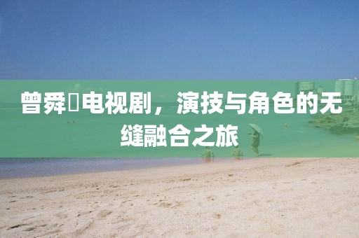 曾舜晞电视剧，演技与角色的无缝融合之旅