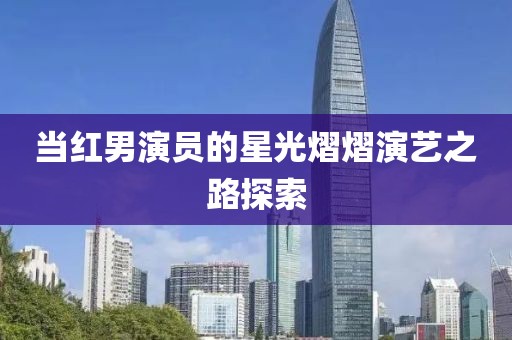 当红男演员的星光熠熠演艺之路探索