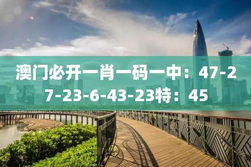 澳门必开一肖一码一中：47-27-23-6-43-23特：45