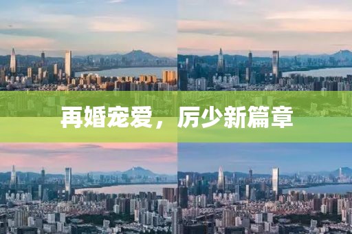 再婚宠爱，厉少新篇章