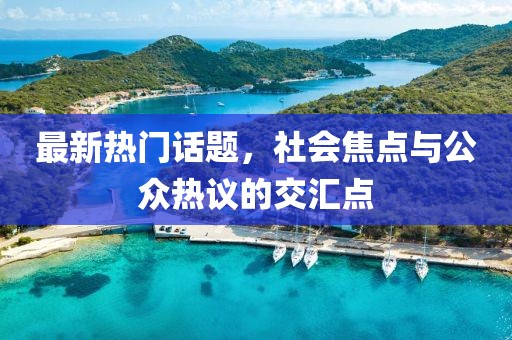 最新热门话题,社会焦点与公众热议的交汇点