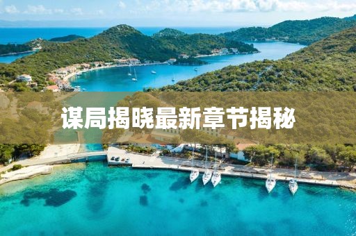 谋局揭晓最新章节揭秘