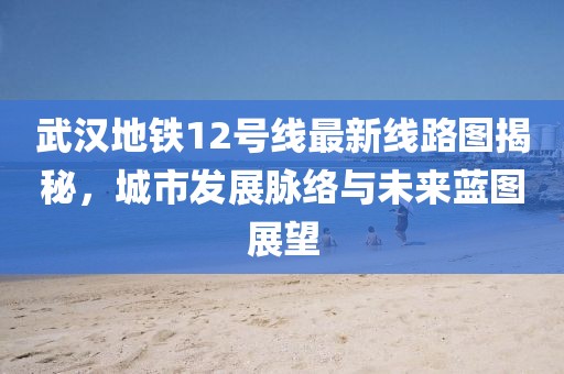 武汉地铁12号线最新线路图揭秘,城市发展脉络与未来蓝图展望