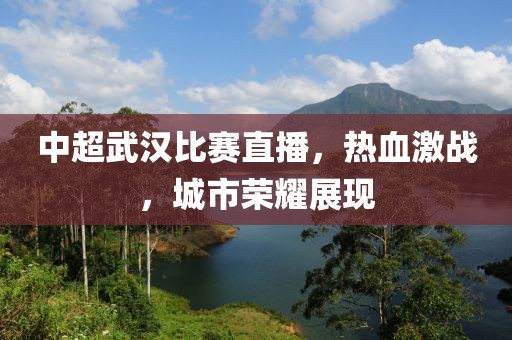 中超武汉比赛直播,热血激战,城市荣耀展现