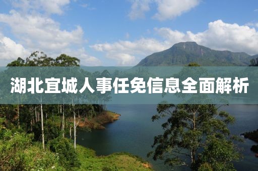 湖北宜城人事任免信息全面解析