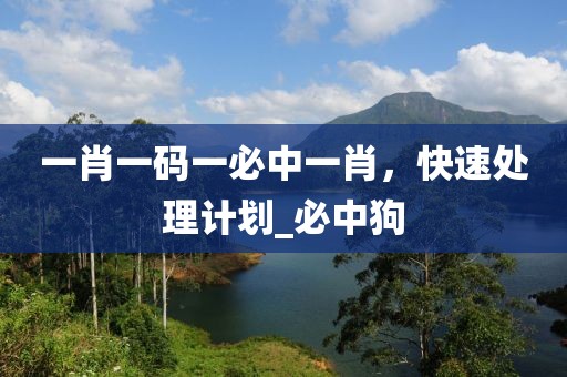 一肖一码一必中一肖，快速处理计划_必中狗