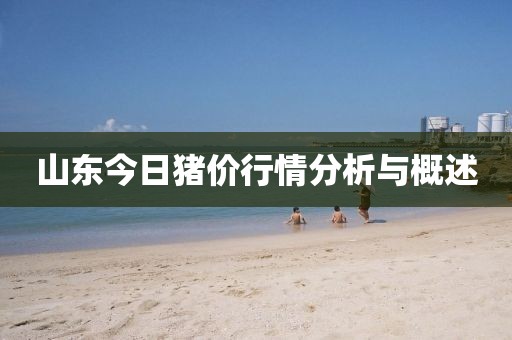 山东今日猪价行情分析与概述