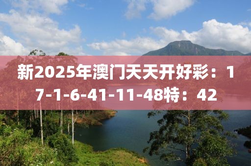 新2025年澳门天天开好彩：17-1-6-41-11-48特：42