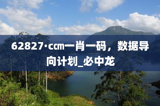 62827·c㎝一肖一码，数据导向计划_必中龙