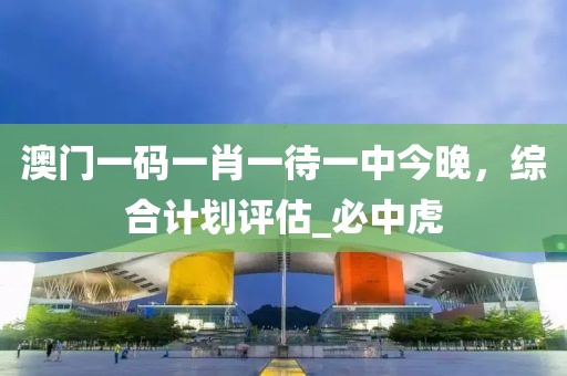 澳门一码一肖一待一中今晚，综合计划评估_必中虎