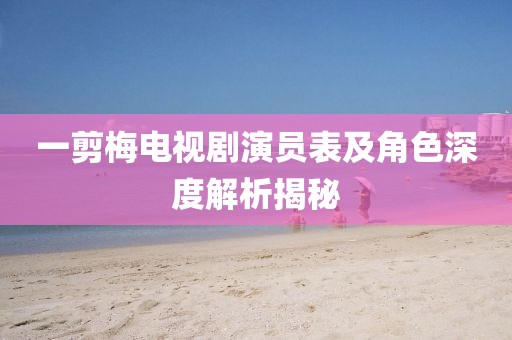 一剪梅电视剧演员表及角色深度解析揭秘