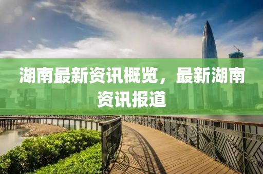 湖南最新资讯概览，最新湖南资讯报道