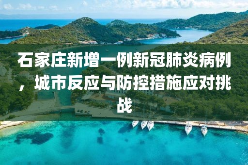 石家庄新增一例新冠肺炎病例，城市反应与防控措施应对挑战