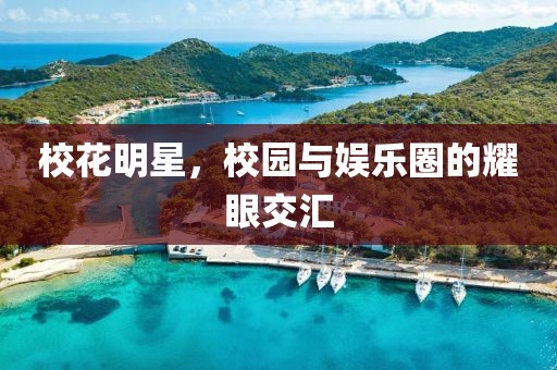 校花明星，校园与娱乐圈的耀眼交汇