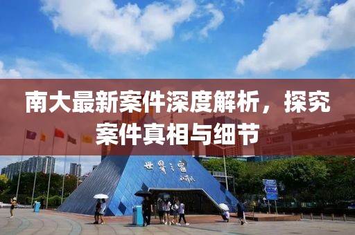 南大最新案件深度解析，探究案件真相与细节