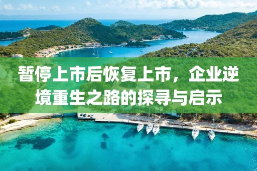 暂停上市后恢复上市，企业逆境重生之路的探寻与启示