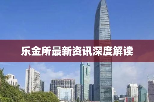 乐金所最新资讯深度解读