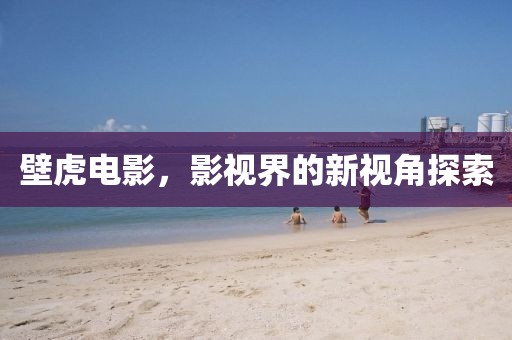 壁虎电影，影视界的新视角探索