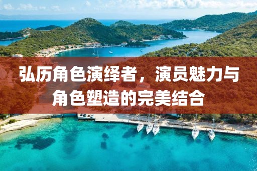 弘历角色演绎者，演员魅力与角色塑造的完美结合