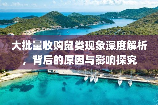 大批量收购鼠类现象深度解析,背后的原因与影响探究