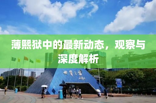 薄熙狱中的最新动态，观察与深度解析