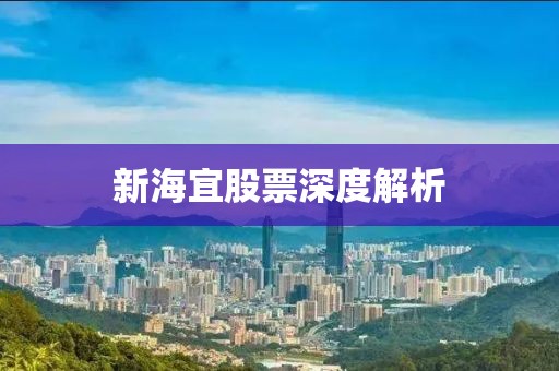 新海宜股票深度解析