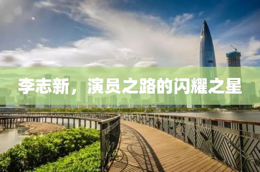李志新，演员之路的闪耀之星