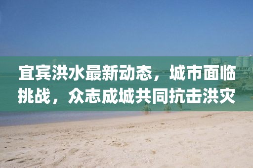 宜宾洪水最新动态，城市面临挑战，众志成城共同抗击洪灾