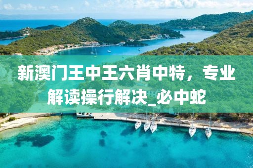 新澳门王中王六肖中特，专业解读操行解决_必中蛇