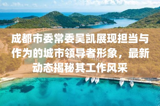 成都市委常委吴凯展现担当与作为的城市领导者形象，最新动态揭秘其工作风采