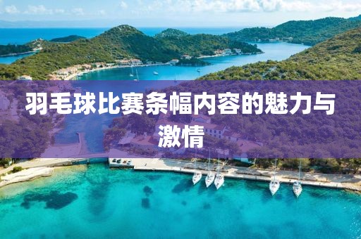 羽毛球比赛条幅内容的魅力与激情