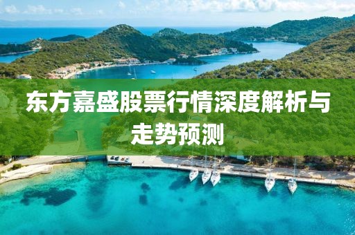 东方嘉盛股票行情深度解析与走势预测