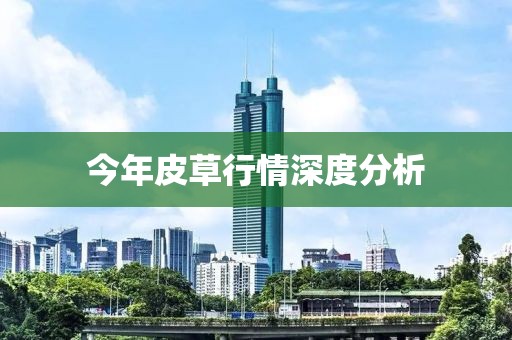 今年皮草行情深度分析