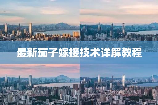 最新茄子嫁接技术详解教程