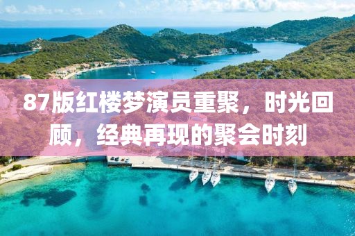 87版红楼梦演员重聚，时光回顾，经典再现的聚会时刻