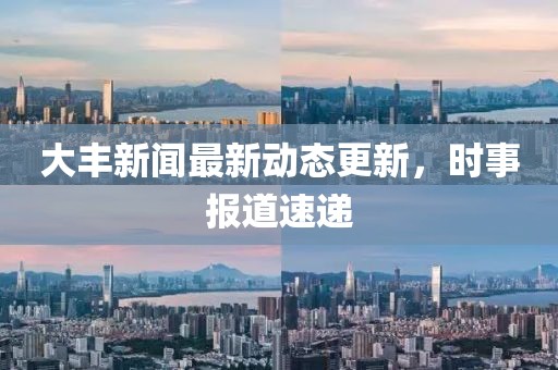 大丰新闻最新动态更新，时事报道速递