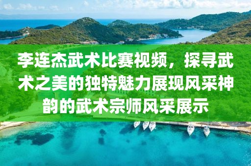 李连杰武术比赛视频，探寻武术之美的独特魅力展现风采神韵的武术宗师风采展示