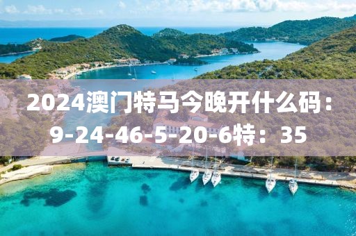 2024澳门特马今晚开什么码：9-24-46-5-20-6特：35