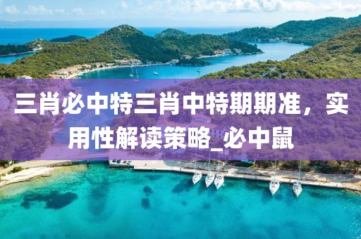 三肖必中特三肖中特期期准，实用性解读策略_必中鼠