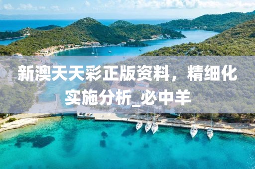新澳天天彩正版资料，精细化实施分析_必中羊