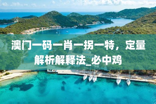 澳门一码一肖一拐一特，定量解析解释法_必中鸡